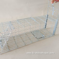 Cage Trap Single Living Catch Mouse Traps